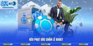 Kèo phạt góc chẵn lẻ
